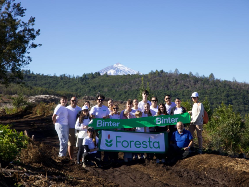 Foresta y Binter colaboran en la reforestación de las zonas afectadas por los incendios en Canarias