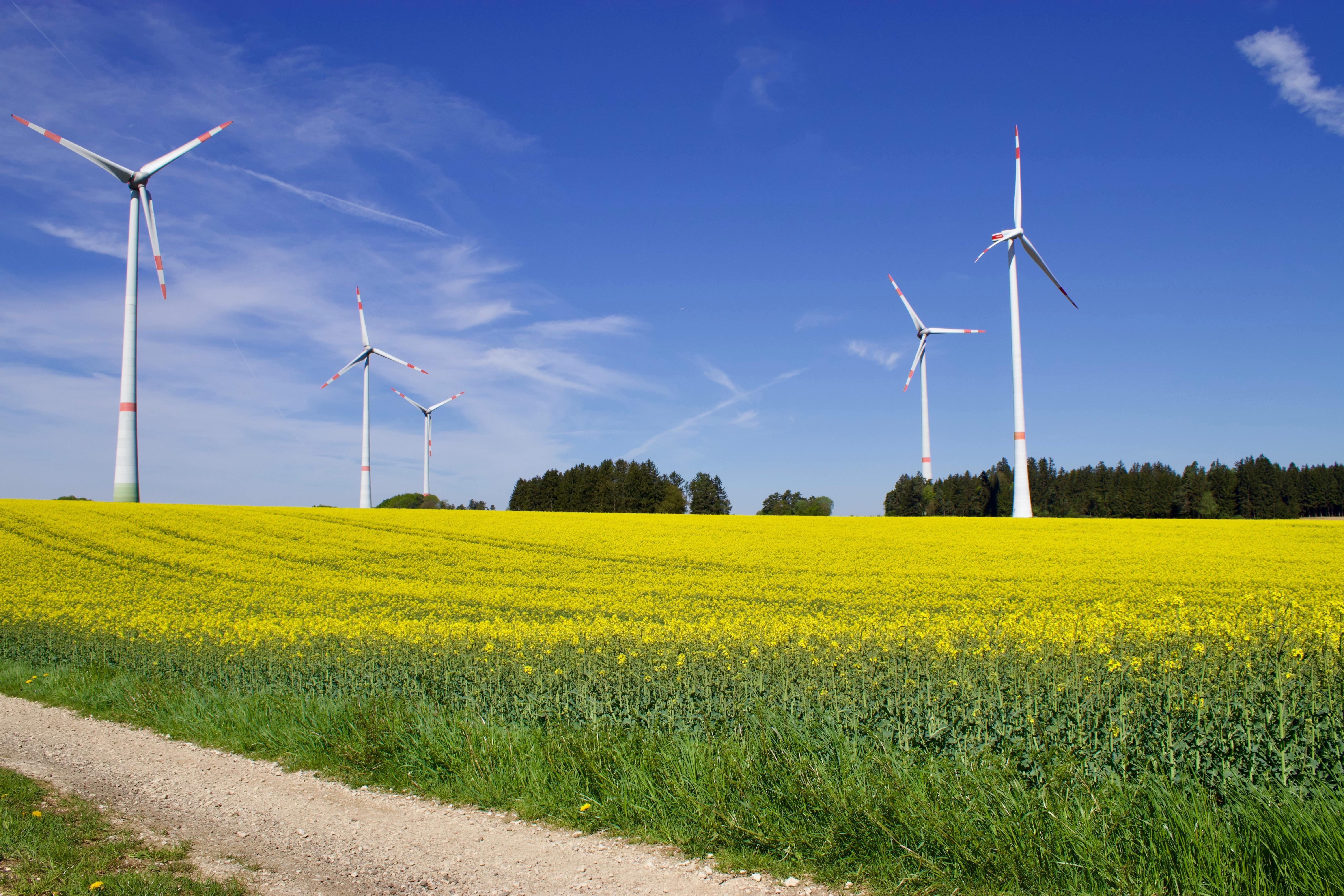 Los municipios turísticos canarios imparten formación gratuita para cumplir con la normativa de registro de huella de carbono