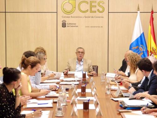 El CES aprueba por unanimidad el Informe por propia iniciativa sobre Áreas Marinas Protegidas y llama a situar a Canarias a la vanguardia de la conservación marina