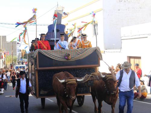 Buenavista del Norte celebra las fiestas en honor a San Antonio Abad este fin de semana