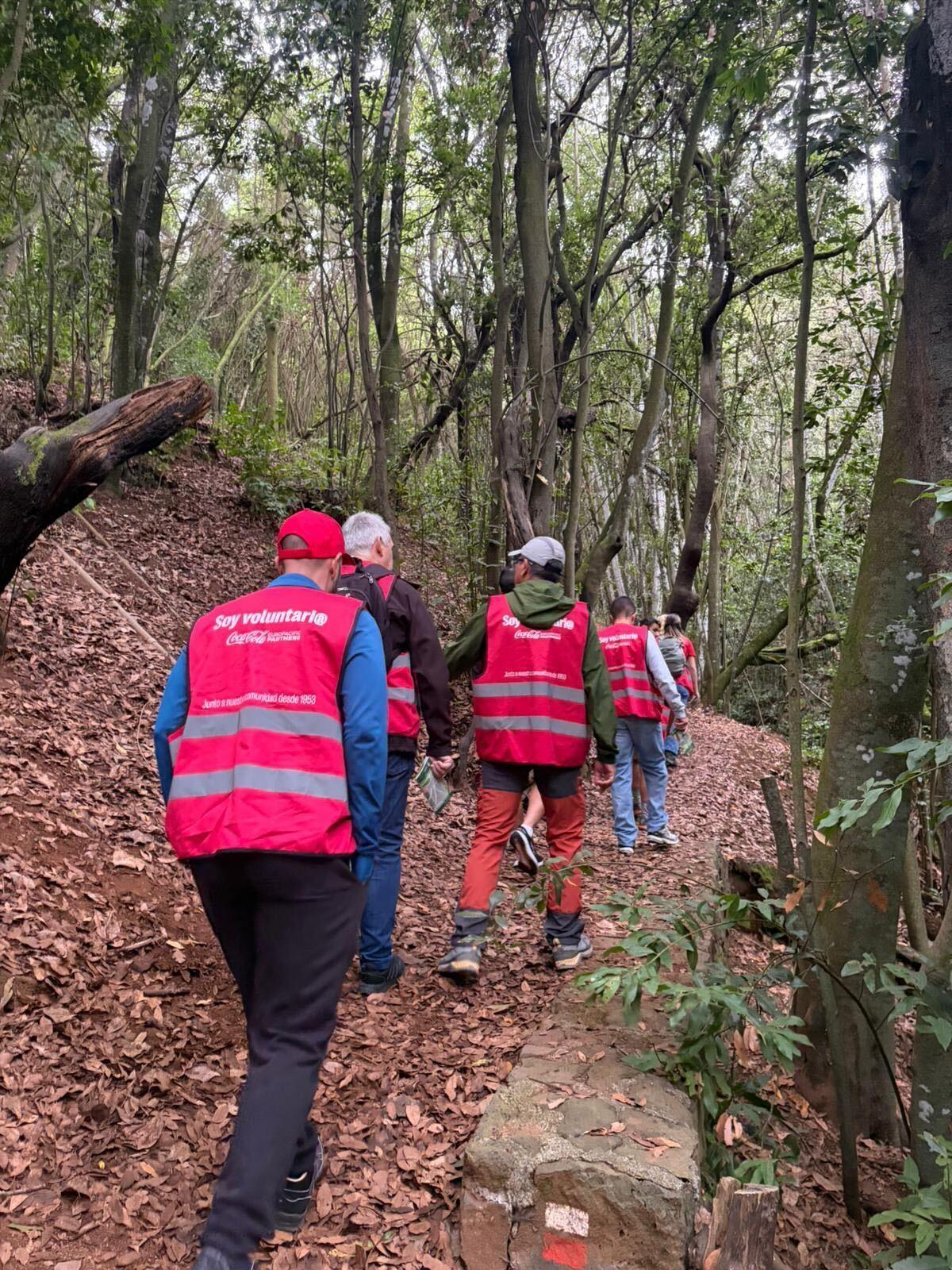 Voluntarios de Coca-Cola participan en un taller ambiental en el Bosque del Adelantado, Tenerife